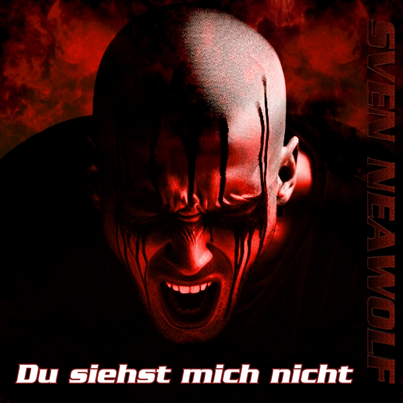 coverimage ... Du siehst mich nicht ... Sven Neawolf